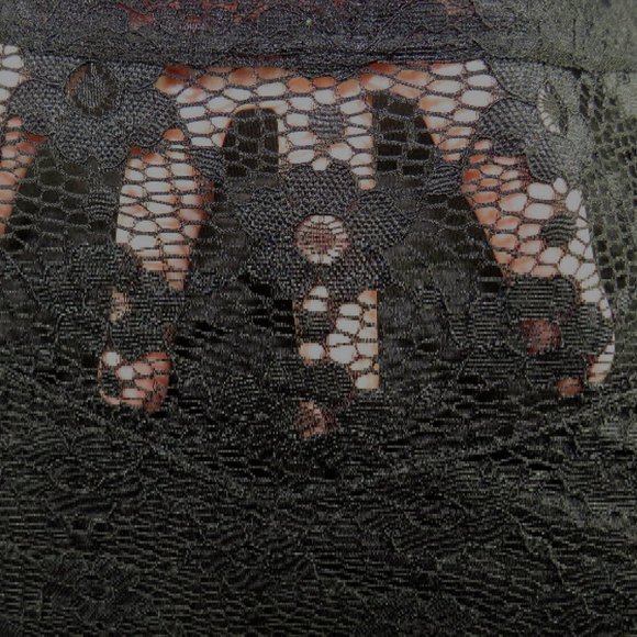 FTF Plus Size 2X Sexy Black Lace Cap Sleeve Top - Picture 3 of 10